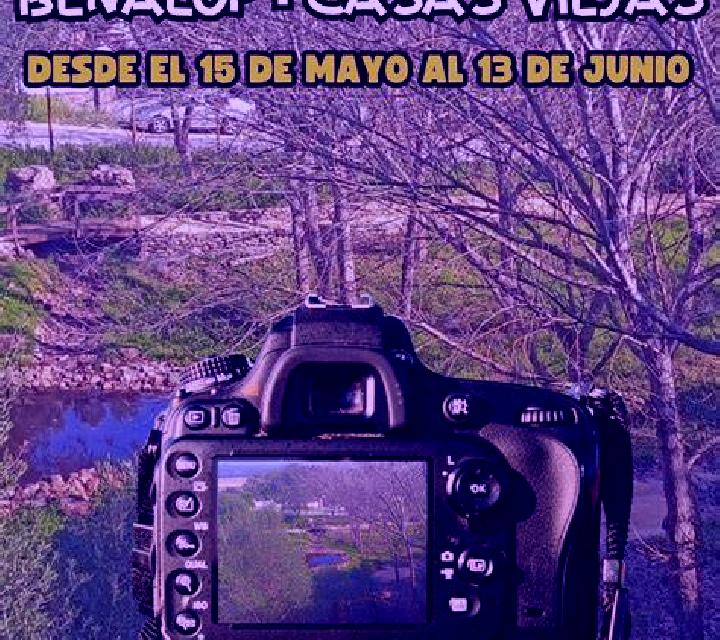 Jade Melgar de Fernamental escort