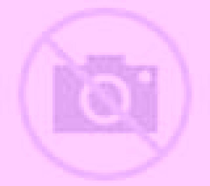 Josefina Tamariz de Campos escort