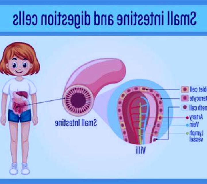 Katia 2 Vilamarxant escort