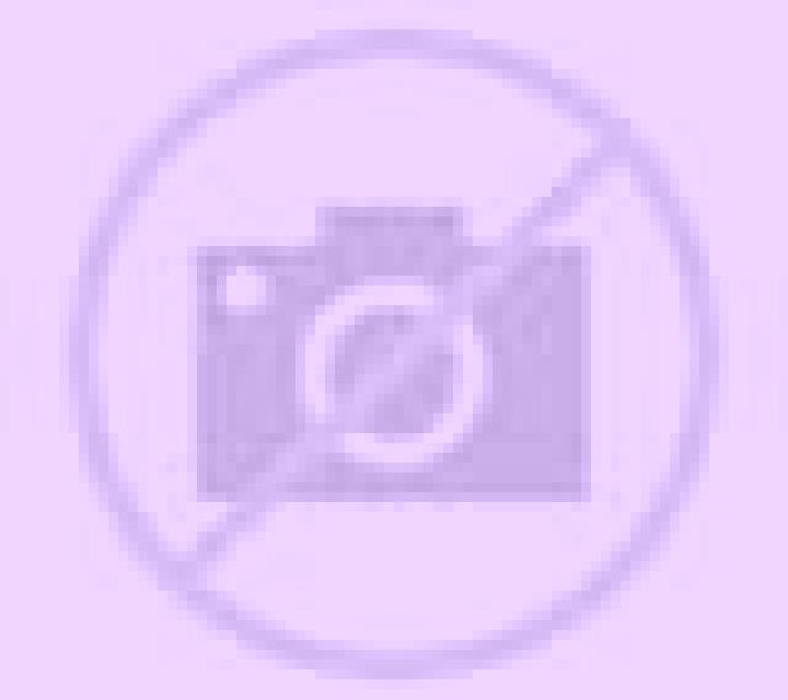 Katia Cascante del Rio escort