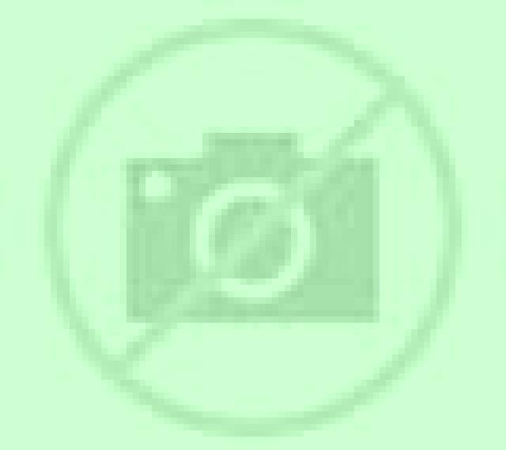 Katia Figueres escort