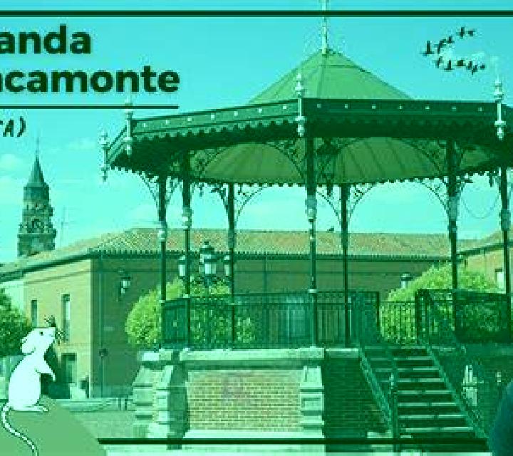 Laia Penaranda de Bracamonte escort