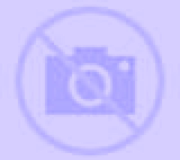 Lola Sebulcor escort