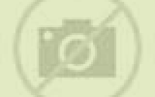 Lorena Roales escort