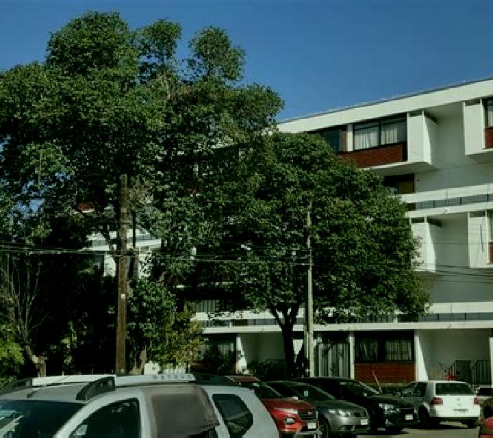 Lucía Luzaga escort