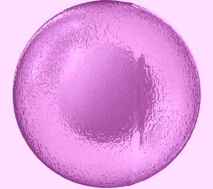 Luna 2 Seros escort
