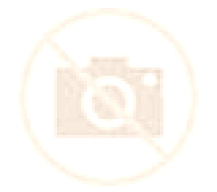 Malena Alio escort