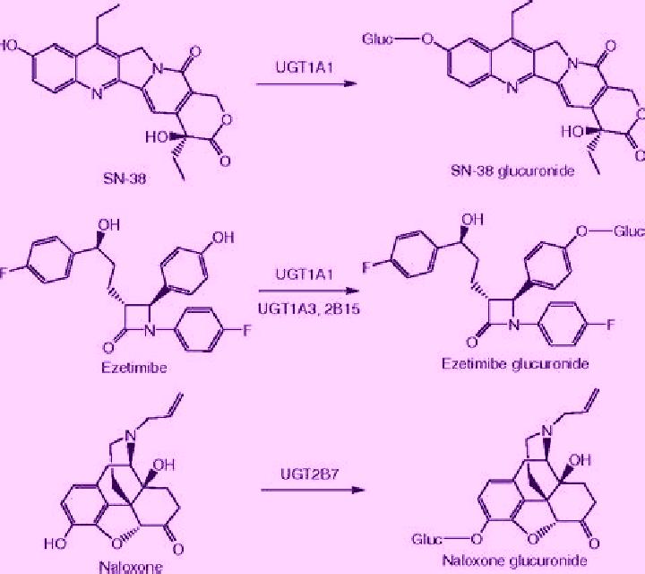 Malena Zapardiel de la Canada escort