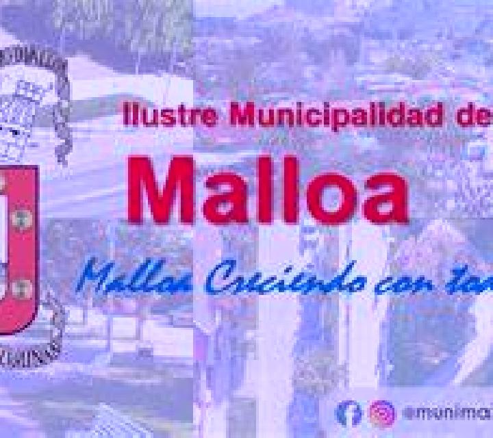 Manuela Zamudio escort