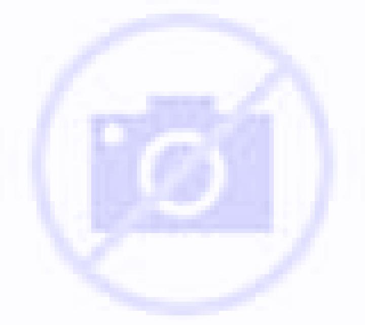 Mariana Paderne escort