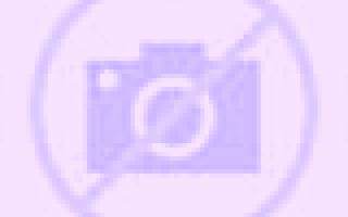 Martina Driebes escort