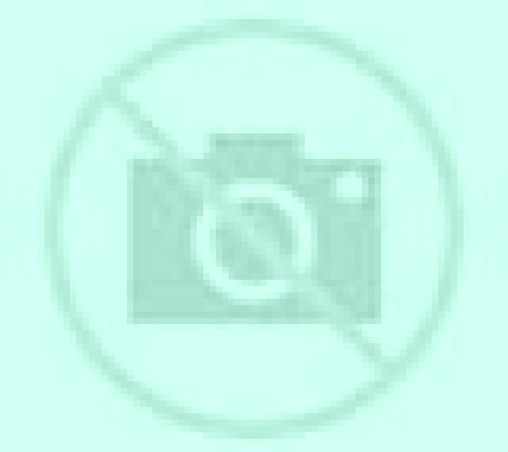 Miriam Cristina escort