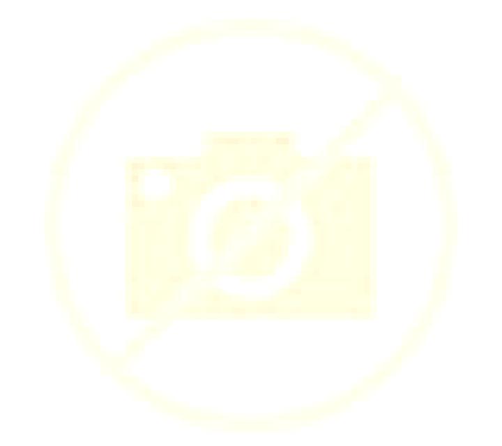 Nadia Gata escort
