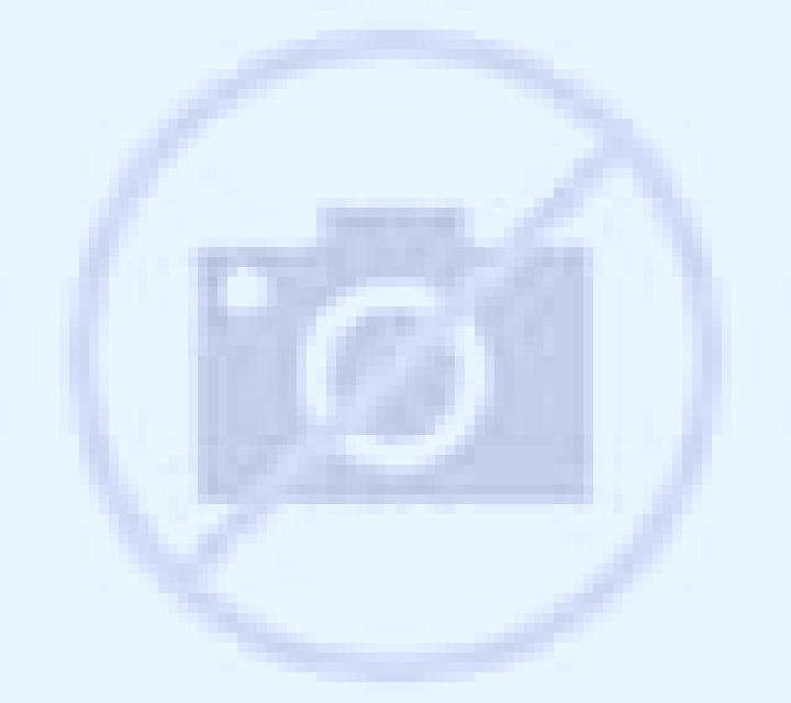 Natalia 3 Campos escort