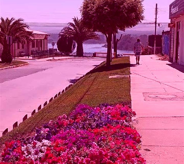 Noa 2 Lucena de Jalon escort