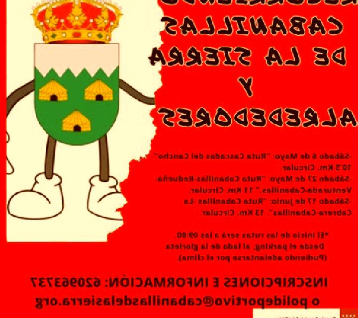 Noa 3 Monreal del Campo escort