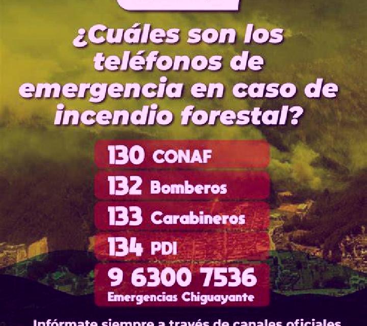 Noelia Fuentespalda escort