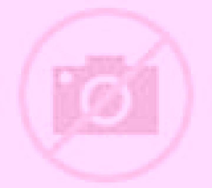 Nora 2 Almazan escort