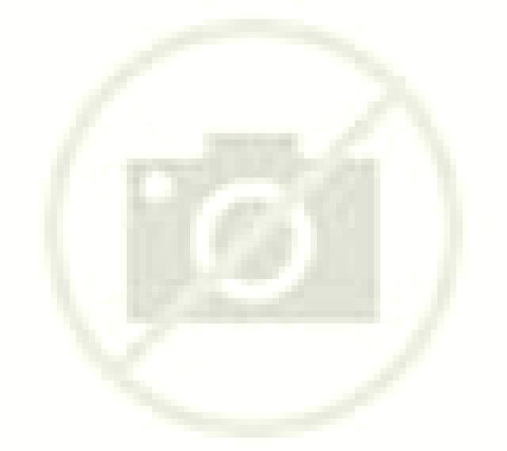 Nora Benameji escort