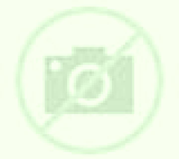 Nora Guarroman escort