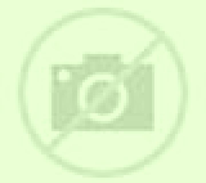 Olivia Becedas escort