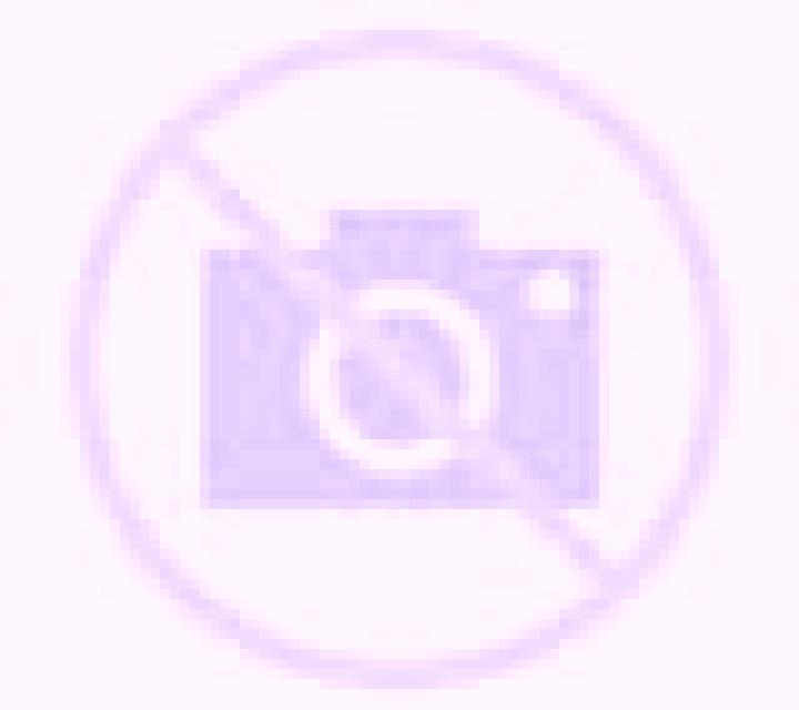 Paloma 3 Renedo escort