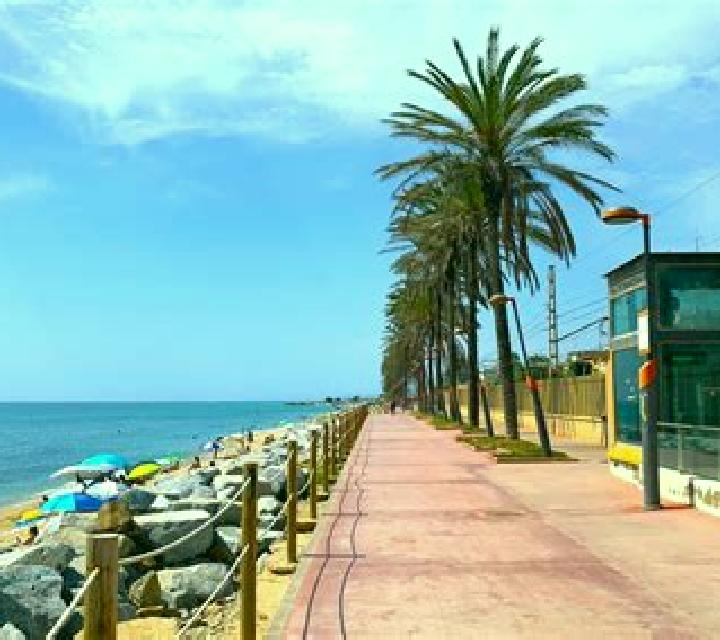 Paloma Vilassar de Mar escort