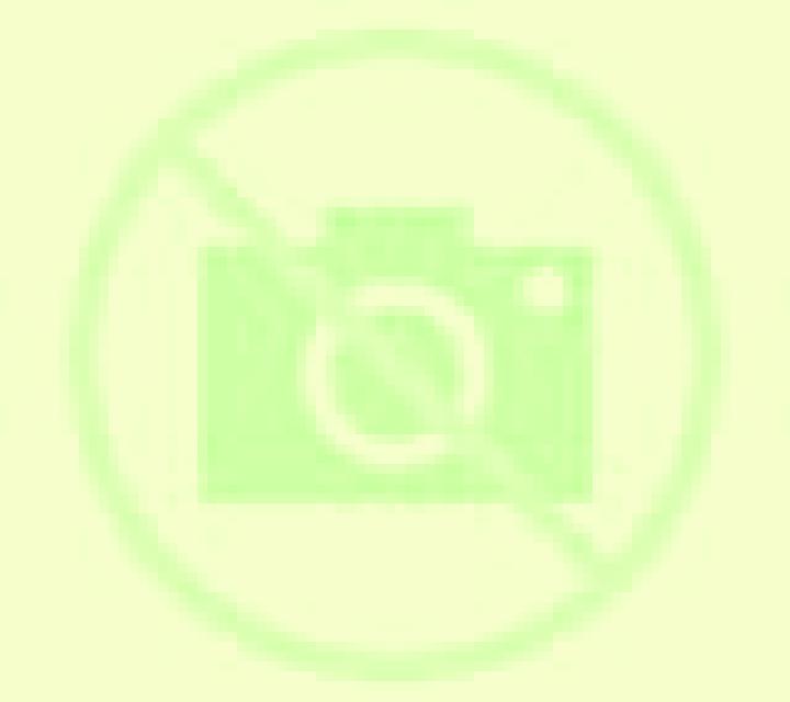 Patricia Boceguillas escort