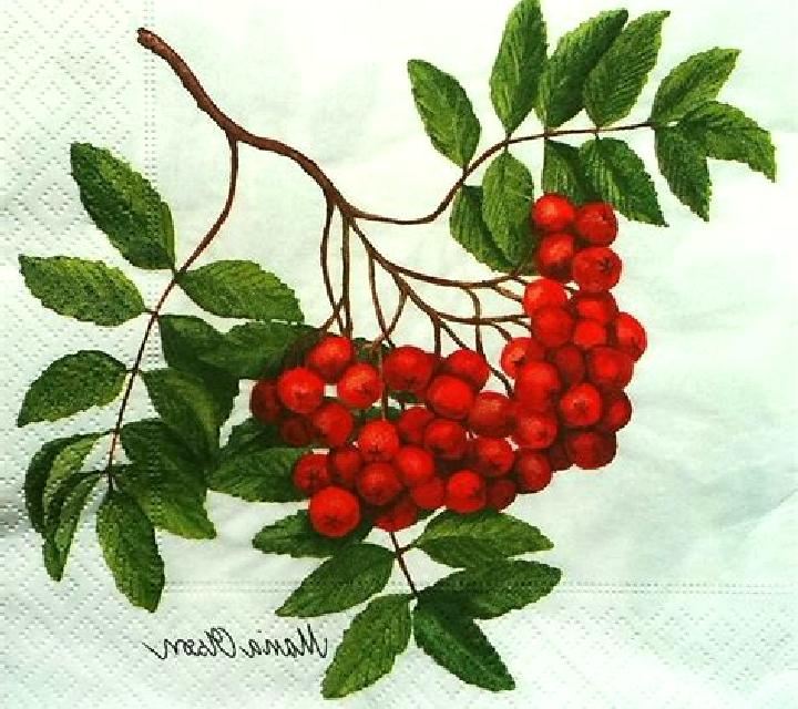 Patricia Fraga escort