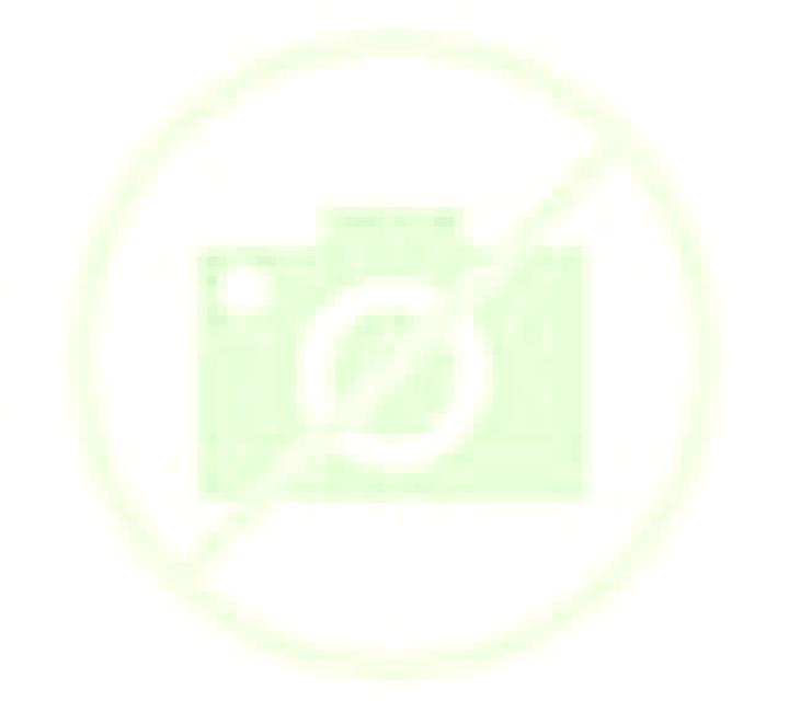 Patricia Meranges escort
