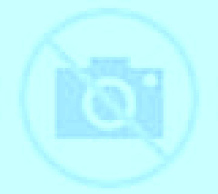 Regina 2 Arconada escort