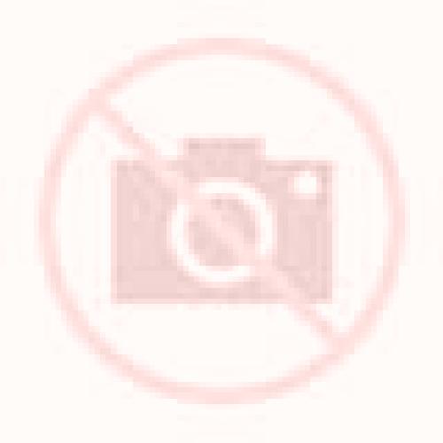 Regina Atienza escort
