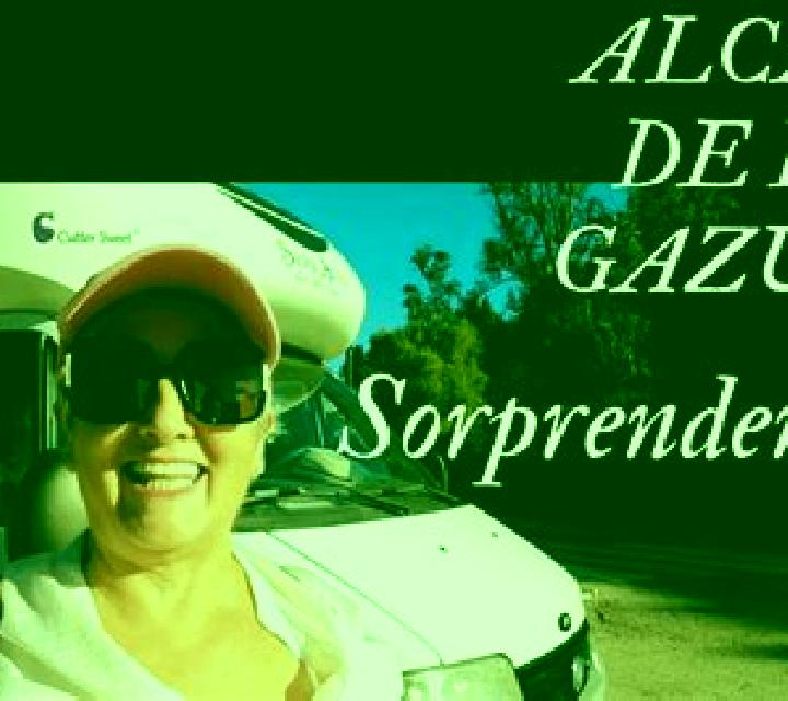 Renata Beas de Segura escort
