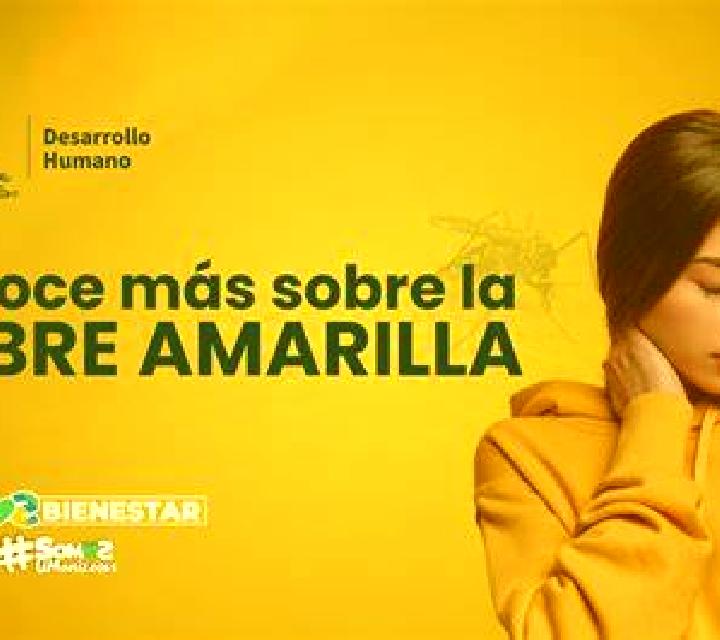 Renata Fontellas escort