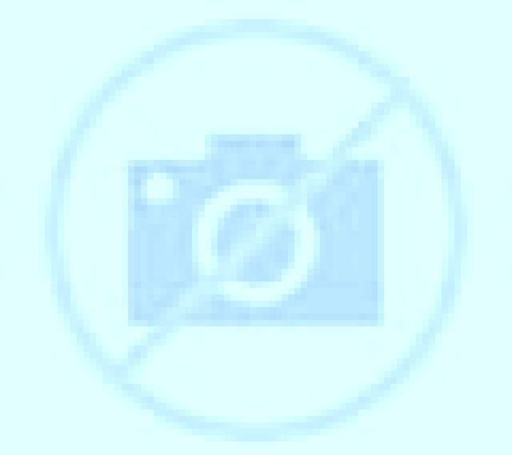 Rocío Salvatierra de Mino escort