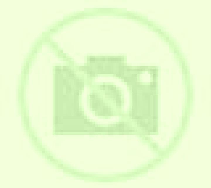 Rosa 2 Sant Llorenc d Hortons escort