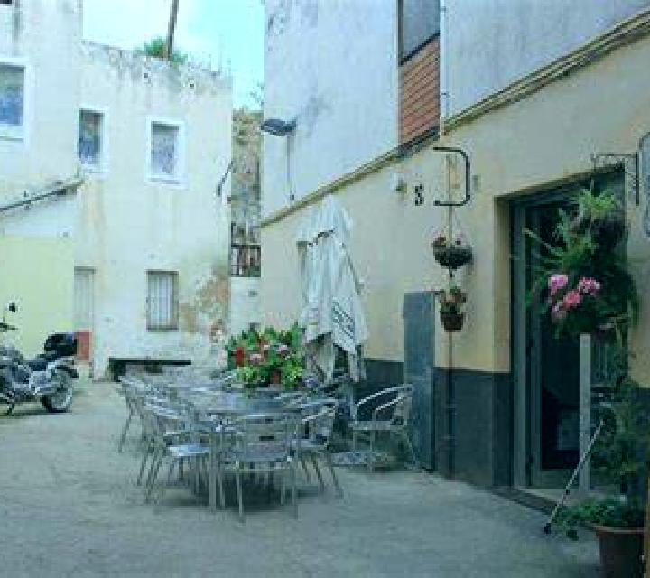 Rosa 3 Abiego escort