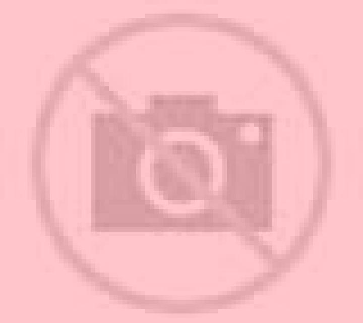 Rosa Blascosancho escort