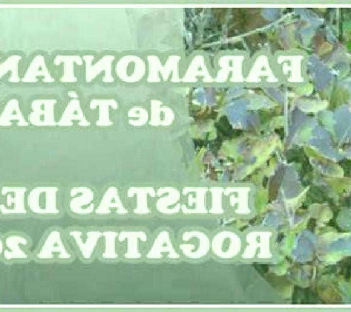 Rosa Vilaxoan escort