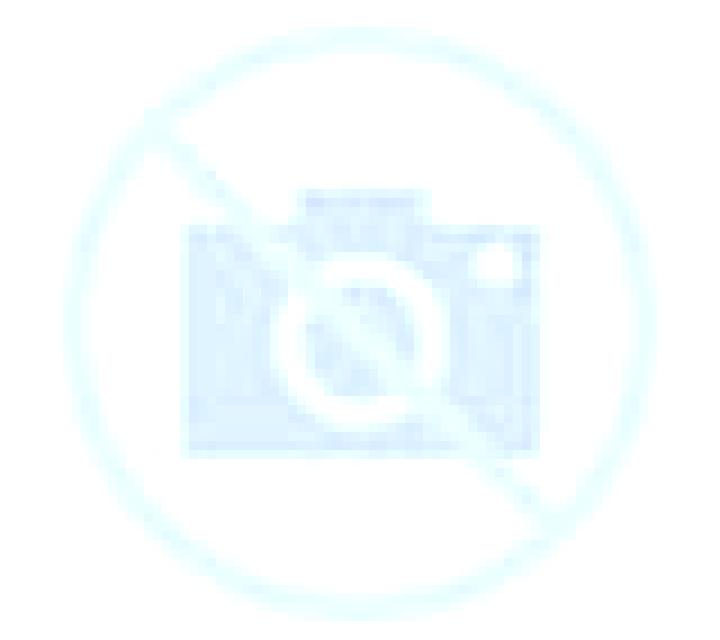 Salma 3 Pozalmuro escort