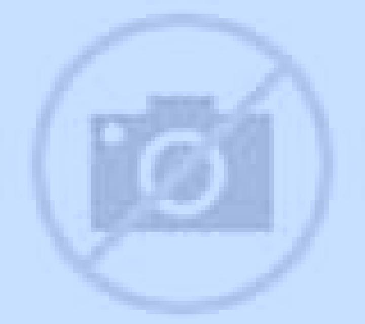 Salma Mao escort