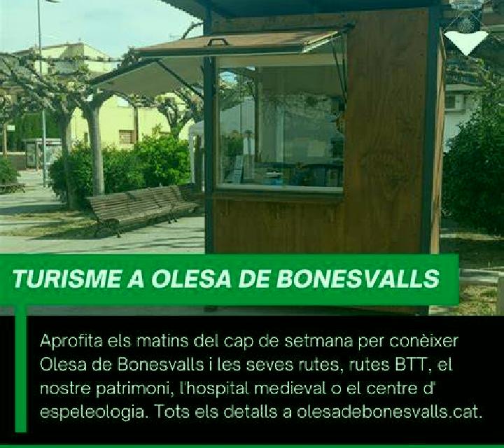 Sara Olesa de Bonesvalls escort