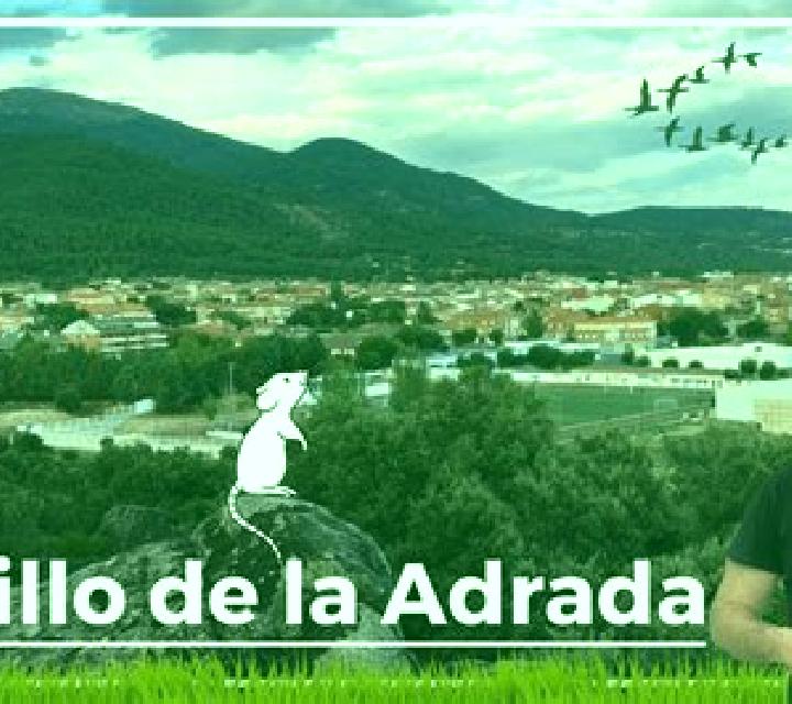Sara Sotillo de la Adrada escort