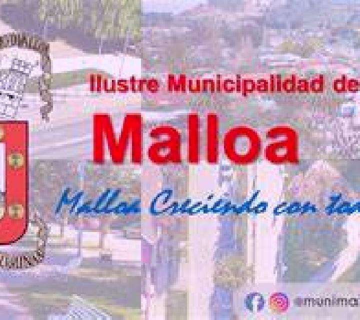 Sofía 3 Cillan escort