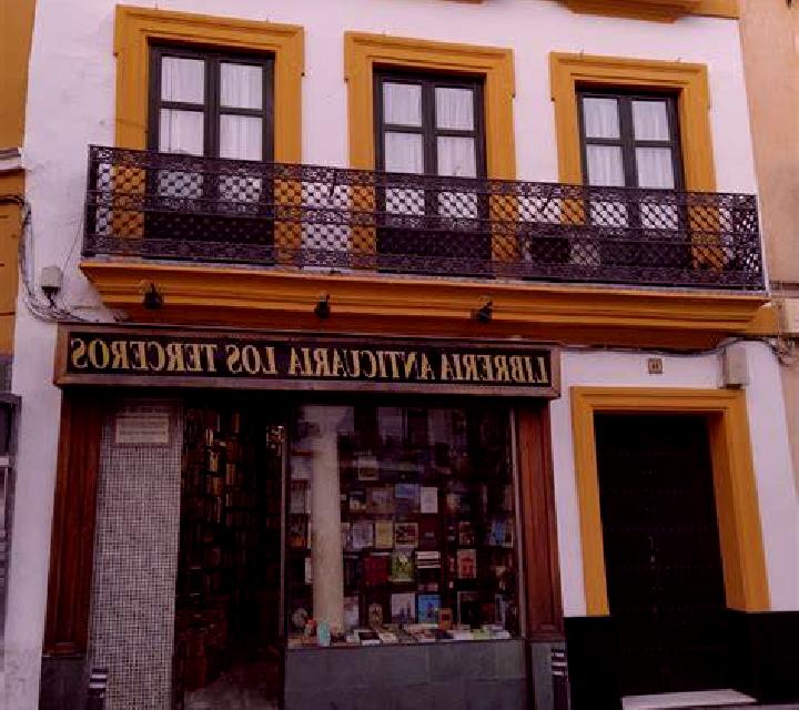 Sofía Prado de la Guzpena escort