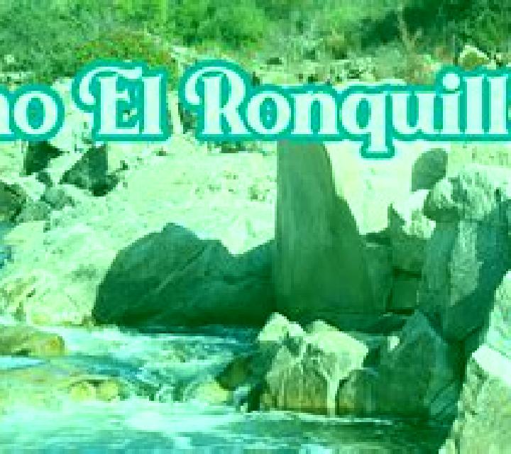Valeria El Ronquillo escort