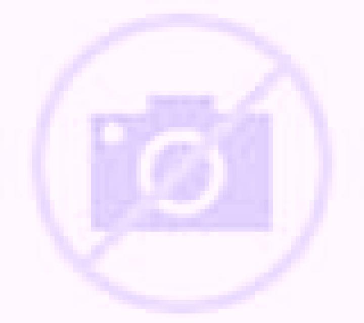 Valeria Mollina escort