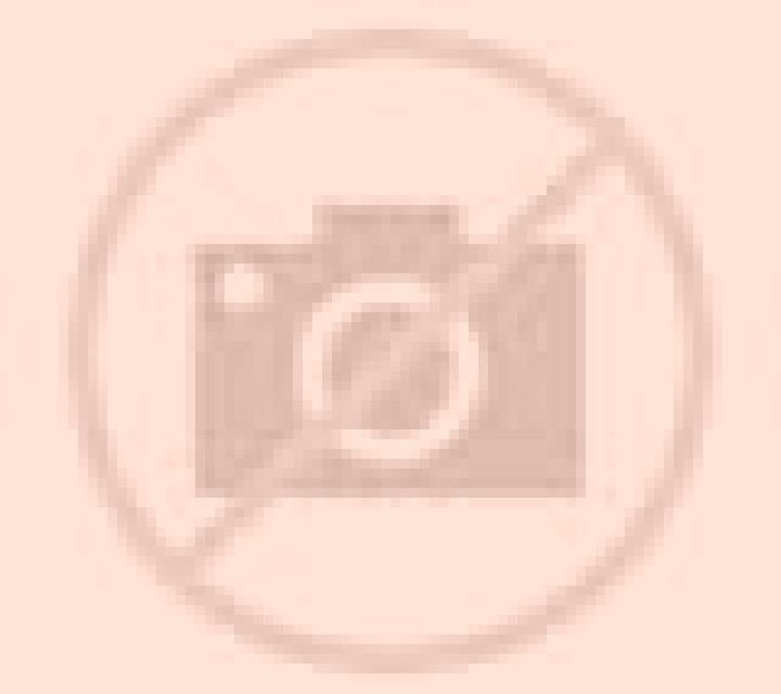 Valeria Noves escort