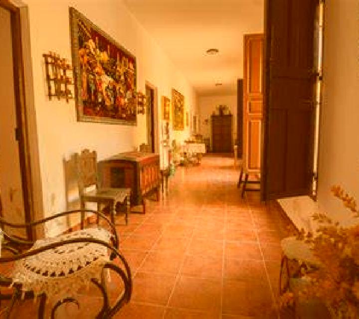 Valeria Rasueros escort