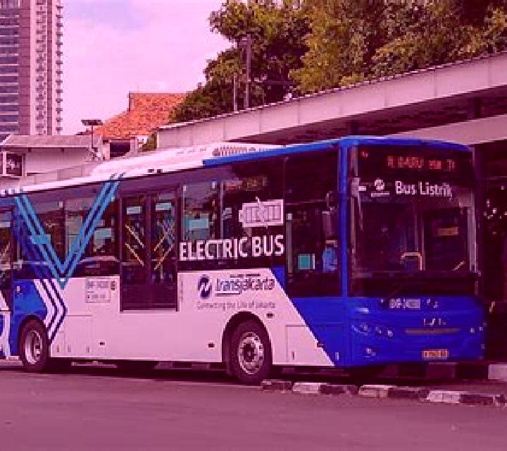 Vega Maluenda escort